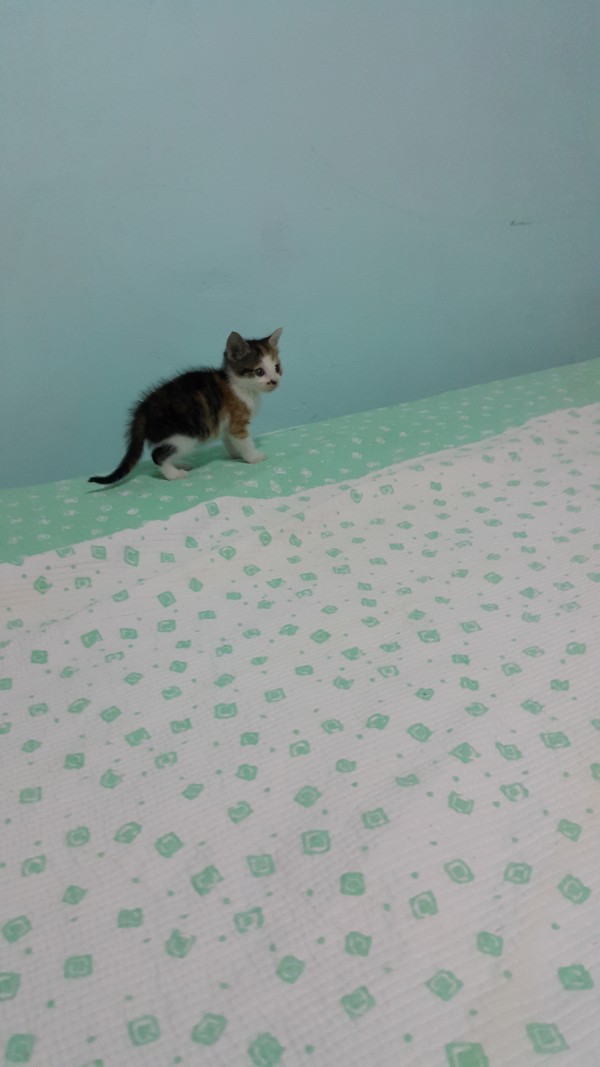 20150608_210548.jpg