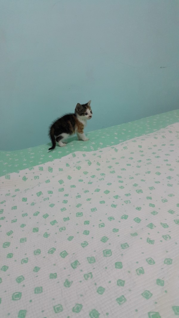 20150608_210550.jpg
