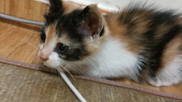 20150730_231020.jpg