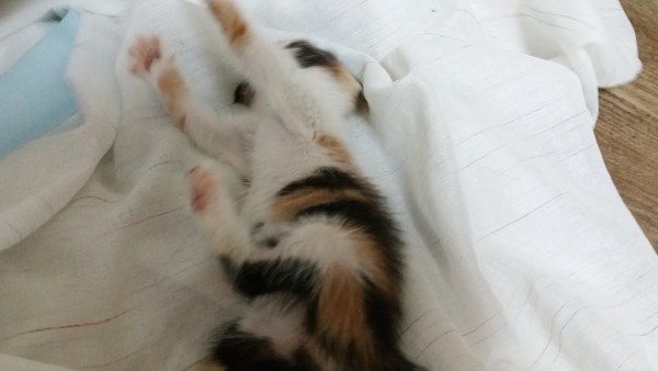 20150730_231332.jpg