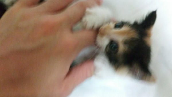20150730_231348.jpg