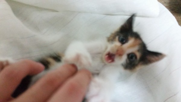 20150730_231357.jpg