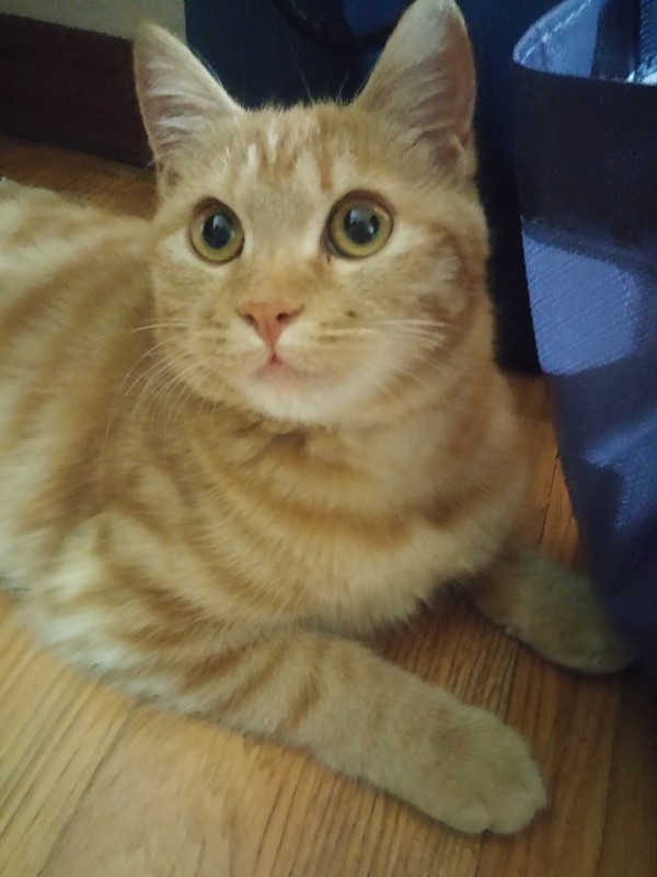 20150930_185043.jpg