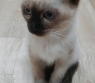 KakaoTalk_20151010_172312025.jpg
