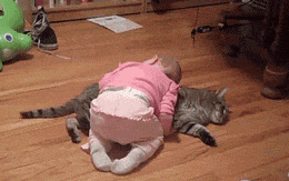 83d9d6e7tw1ekcthoeh5ag207804jkdn.gif