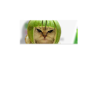 메인.png