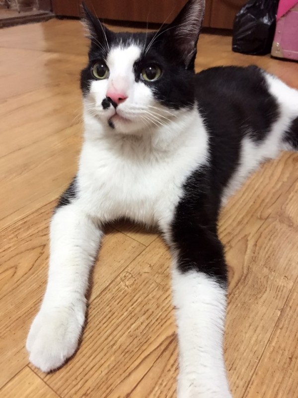 KakaoTalk_20160415_115032399.jpg