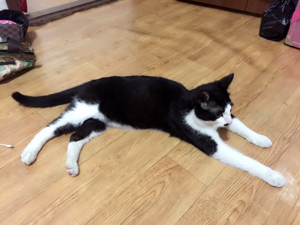 KakaoTalk_20160415_115032675.jpg