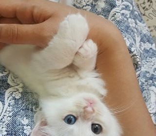 네로3.jpg