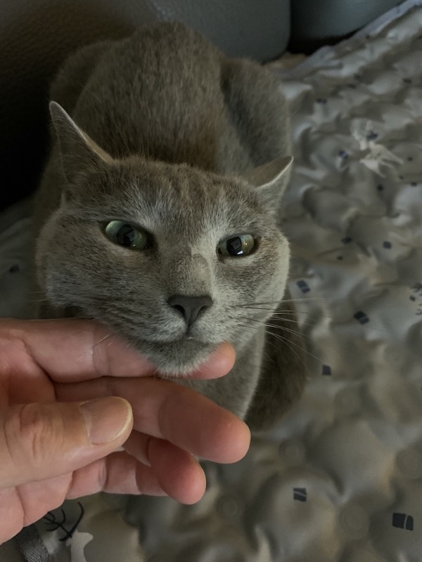 315e56b4f34d5880e637660c48306af0_1725284390_1074.jpeg