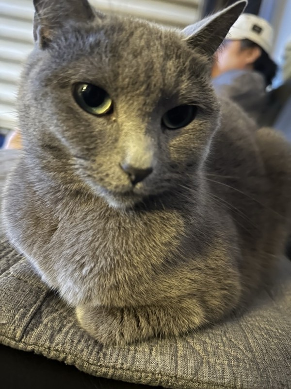 315e56b4f34d5880e637660c48306af0_1725284449_2077.jpeg