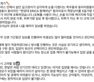 한국 고양이 무료분양