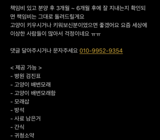 한국 고양이 무료분양