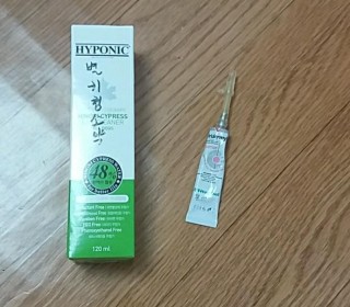 브리티쉬숏 무료분양