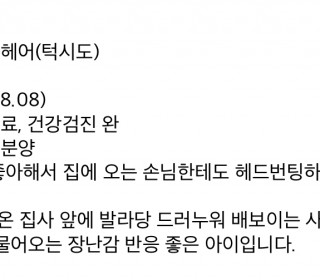 한국 고양이 무료분양