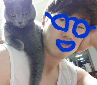러시안 블루 무료분양
