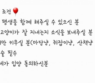 한국 고양이 무료분양
