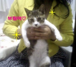 기타 무료분양