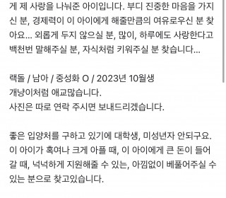 렉돌 무료분양