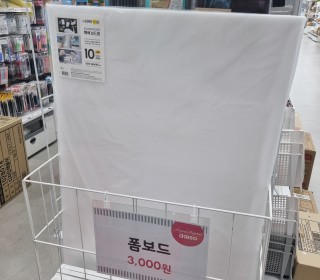 한국 고양이 무료분양