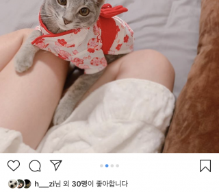 기타 무료분양
