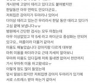 페르시안 무료분양