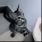 profile_image