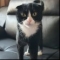 profile_image