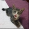 profile_image